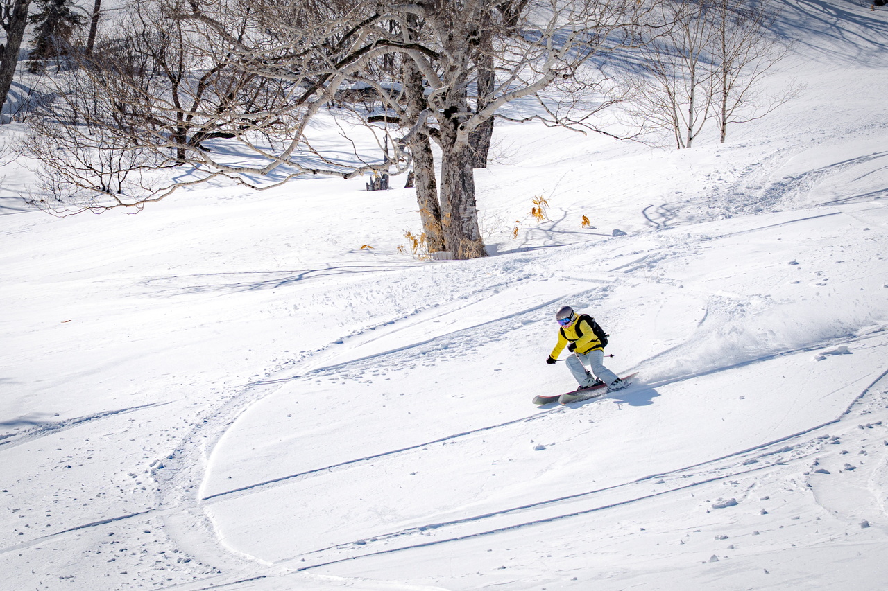 skier：秋山 穂香 - Honoka Akiyama